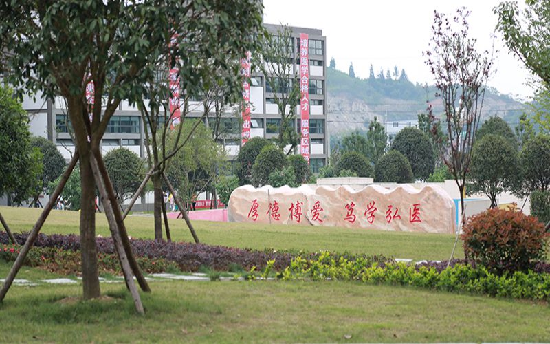 毕节医学高等专科学校高职分类